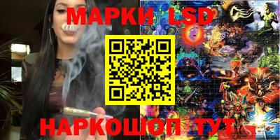 шишки Славгород