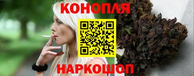 шишки Славгород