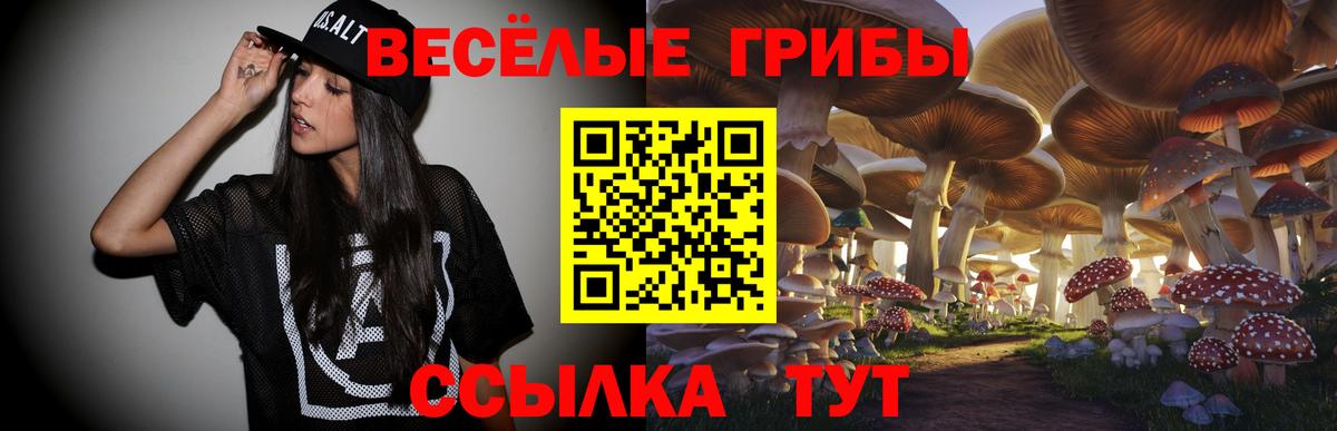 Псилоцибиновые грибы прущие грибы Отрадное